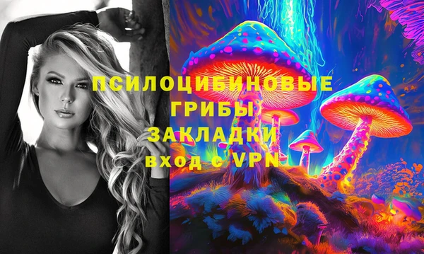 спайс Алексин
