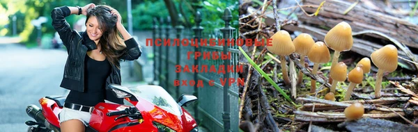 спайс Алексин