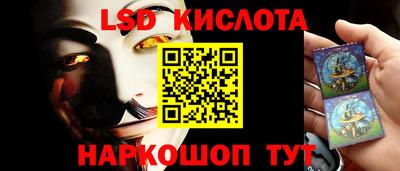 стаф Кунгур