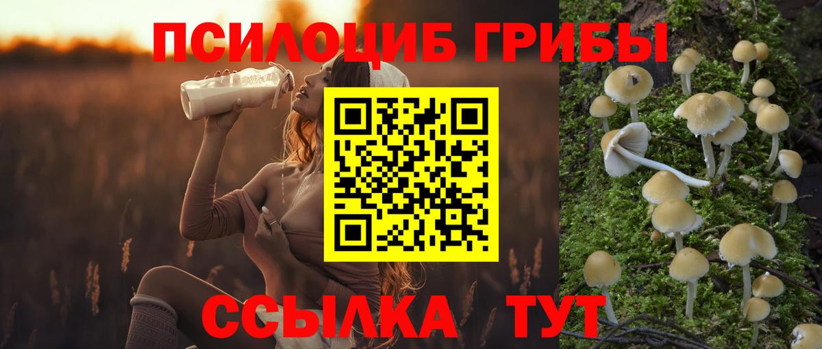 Псилоцибиновые грибы Magic Shrooms Керчь